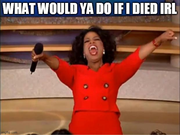Oprah You Get A | WHAT WOULD YA DO IF I DIED IRL | image tagged in memes,oprah you get a | made w/ Imgflip meme maker