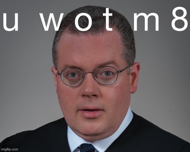 Judge Matthew Brann U Wot M8 | image tagged in judge matthew brann u wot m8 | made w/ Imgflip meme maker