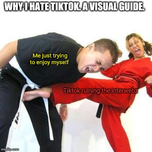 You know it's true! | WHY I HATE TIKTOK. A VISUAL GUIDE. Me just trying to enjoy myself; Tiktok ruining the interwebz | image tagged in tiktok,internet,crotch,kicking,pain | made w/ Imgflip meme maker