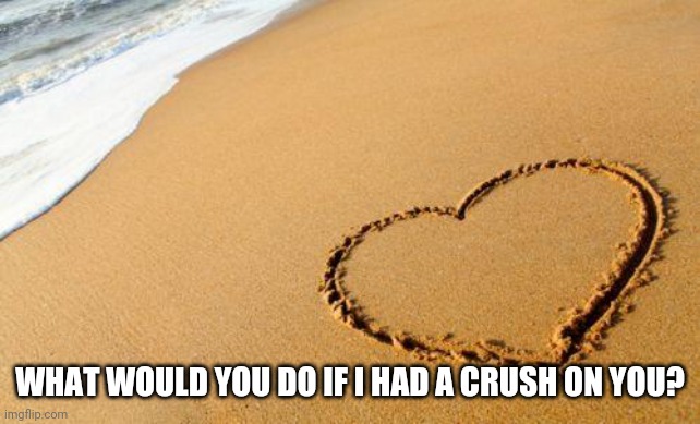 Beach Heart  | WHAT WOULD YOU DO IF I HAD A CRUSH ON YOU? | image tagged in beach heart | made w/ Imgflip meme maker