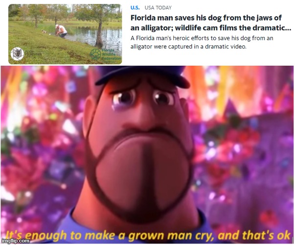 https://www.yahoo.com/news/florida-man-saves-dog-jaws-231627500.html | image tagged in it's enough to make a grown man cry and that's ok,memes,dogs,florida | made w/ Imgflip meme maker