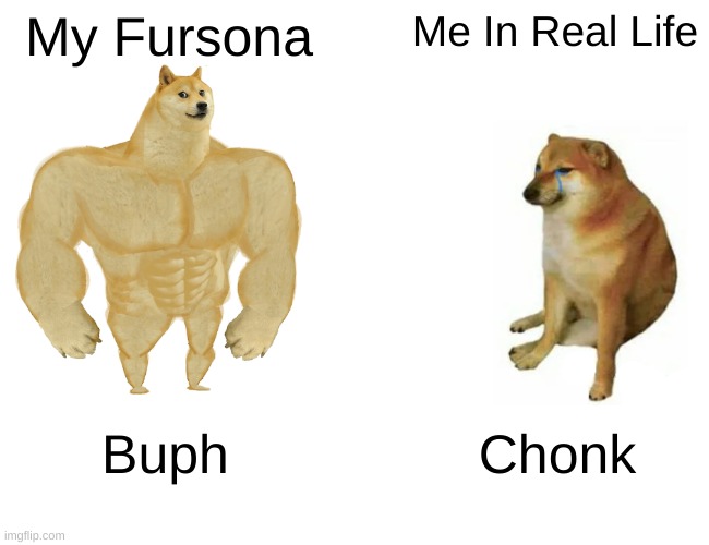 I mean... Some of us can relate... Though for some of us... its our fursona being buff... but we are skinny as heck! | My Fursona; Me In Real Life; Buph; Chonk | image tagged in memes,buff doge vs cheems | made w/ Imgflip meme maker