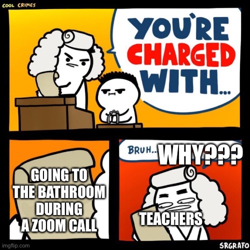 cool crimes | WHY??? GOING TO THE BATHROOM DURING A ZOOM CALL; TEACHERS | image tagged in cool crimes | made w/ Imgflip meme maker