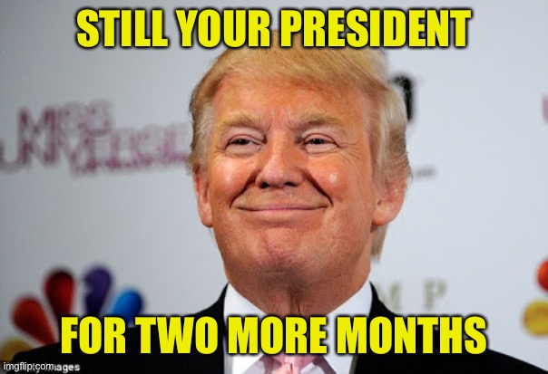Donald trump approves | STILL YOUR PRESIDENT FOR TWO MORE MONTHS | image tagged in donald trump approves | made w/ Imgflip meme maker