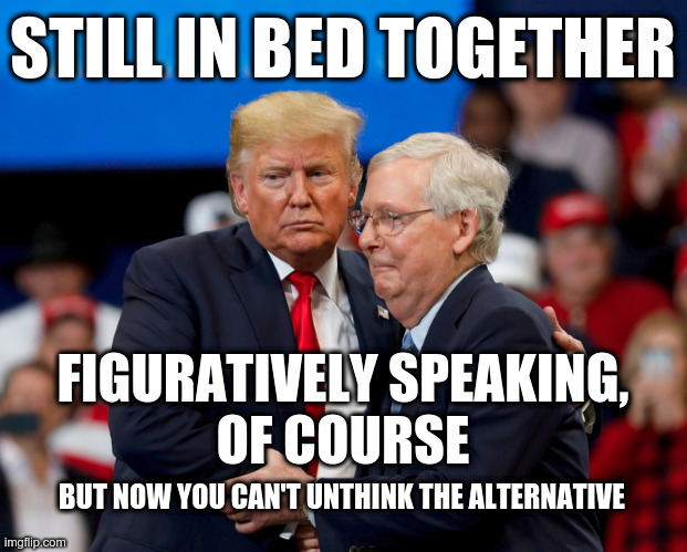 Trump and McConnell: Still in Bed | STILL IN BED TOGETHER; FIGURATIVELY SPEAKING,
OF COURSE; BUT NOW YOU CAN'T UNTHINK THE ALTERNATIVE | image tagged in trump,mitch mcconnell | made w/ Imgflip meme maker