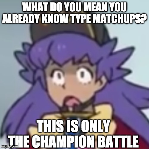 Type Matchups | WHAT DO YOU MEAN YOU ALREADY KNOW TYPE MATCHUPS? THIS IS ONLY THE CHAMPION BATTLE | image tagged in leon face what | made w/ Imgflip meme maker