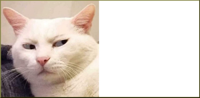 Skeptical Cat wide template Blank Meme Template