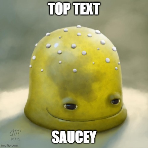 sac | TOP TEXT; SAUCEY | image tagged in oova | made w/ Imgflip meme maker