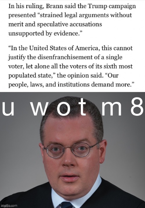 Thank u Judge Matthew Brann. (Republican!) | image tagged in judge matthew brann u wot m8 | made w/ Imgflip meme maker