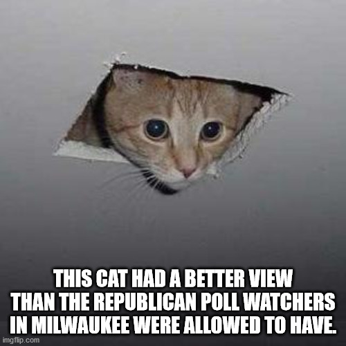Ceiling Cat | THIS CAT HAD A BETTER VIEW THAN THE REPUBLICAN POLL WATCHERS IN MILWAUKEE WERE ALLOWED TO HAVE. | image tagged in memes,ceiling cat | made w/ Imgflip meme maker