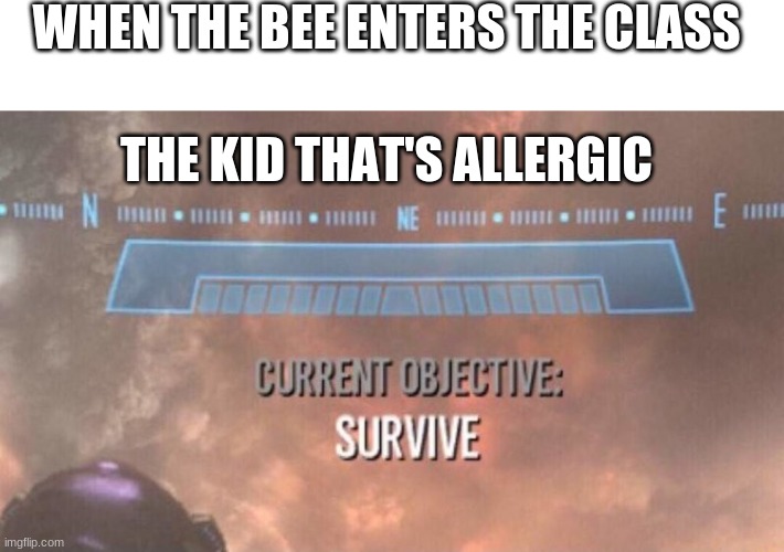 survive at any cost |  WHEN THE BEE ENTERS THE CLASS; THE KID THAT'S ALLERGIC | image tagged in current objective survive | made w/ Imgflip meme maker