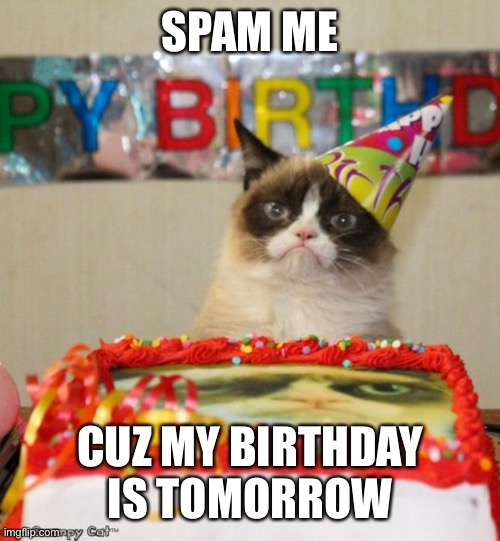 Grumpy Cat Birthday | SPAM ME; CUZ MY BIRTHDAY IS TOMORROW | image tagged in memes,grumpy cat birthday,grumpy cat | made w/ Imgflip meme maker