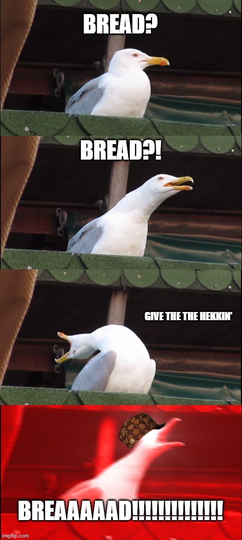 Bread?? | BREAD? BREAD?! GIVE THE THE HEKKIN'; BREAAAAAD!!!!!!!!!!!!!! | image tagged in memes,inhaling seagull | made w/ Imgflip meme maker