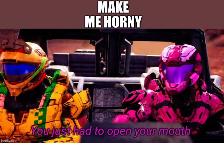 I have a bad feeling bout this(no stellar) | MAKE ME HORNY | image tagged in you just had to open your mouth,memes | made w/ Imgflip meme maker