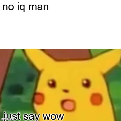 no iq man  just say wow | image tagged in memes,surprised pikachu | made w/ Imgflip meme maker