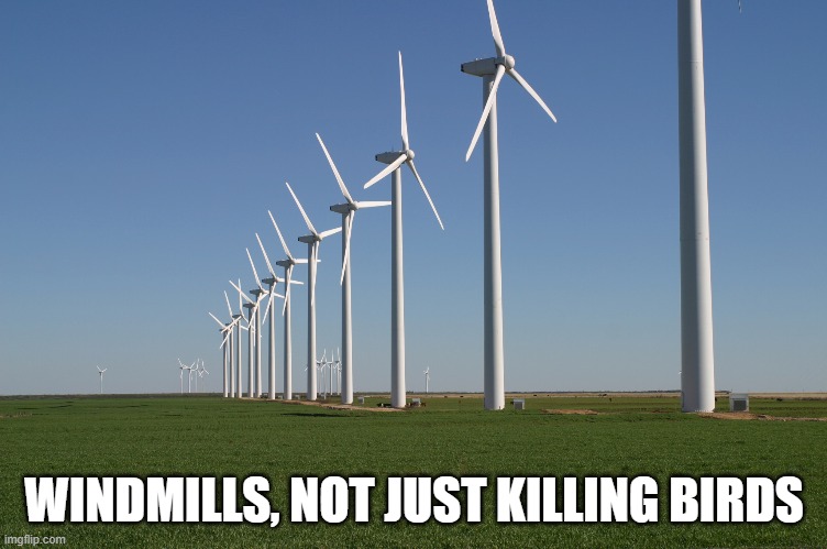 windmill | WINDMILLS, NOT JUST KILLING BIRDS | image tagged in windmill | made w/ Imgflip meme maker