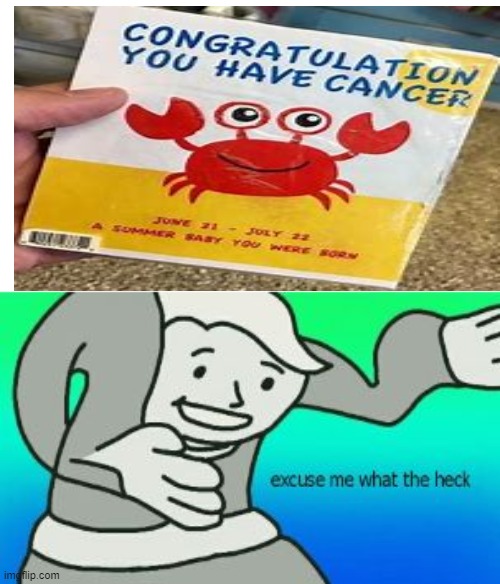 Excuse Me What The Heck | image tagged in excuse me what the heck,cancer,memes,funny,oh wow are you actually reading these tags | made w/ Imgflip meme maker
