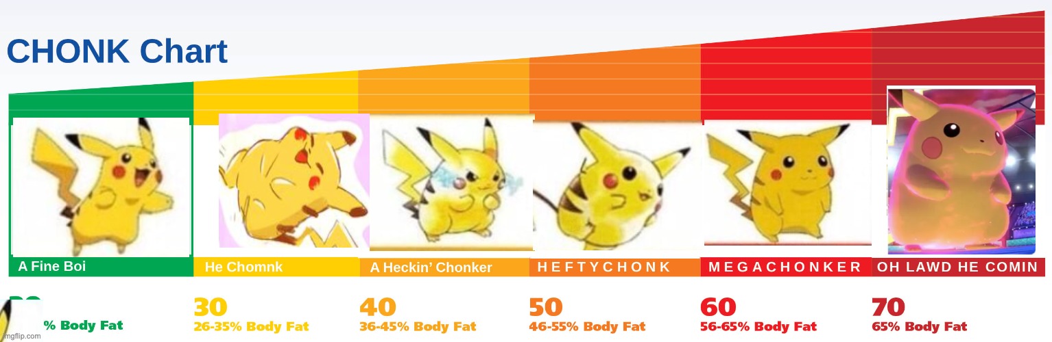 PikaCHONK | image tagged in chonk chart | made w/ Imgflip meme maker