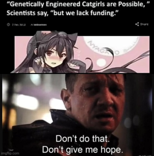There's a chance... | image tagged in hawkeye ''don't give me hope'' | made w/ Imgflip meme maker