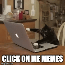 cat clicks on me memes - Imgflip