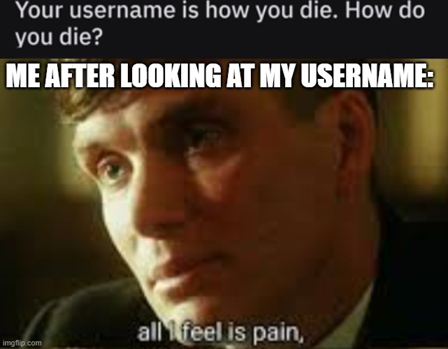 ME AFTER LOOKING AT MY USERNAME: | image tagged in how do you die,pain | made w/ Imgflip meme maker