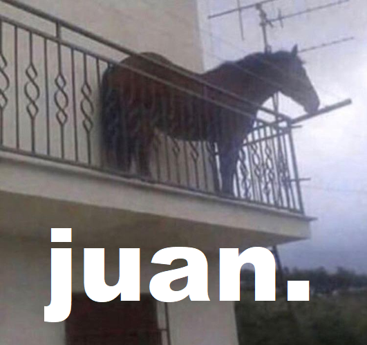 High Quality Juan the Horse Blank Meme Template