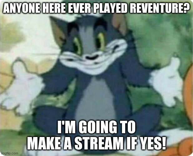 If you haven't played, I HIGHLY recommend it. | ANYONE HERE EVER PLAYED REVENTURE? I'M GOING TO MAKE A STREAM IF YES! | image tagged in tom shrugging | made w/ Imgflip meme maker