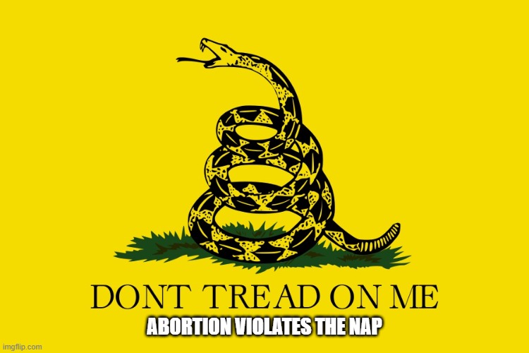 Gadsden | ABORTION VIOLATES THE NAP | image tagged in gadsden | made w/ Imgflip meme maker