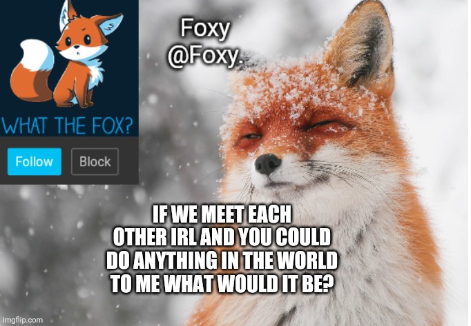 Totally not scared at all heh | IF WE MEET EACH OTHER IRL AND YOU COULD DO ANYTHING IN THE WORLD TO ME WHAT WOULD IT BE? | image tagged in foxy's announcement template | made w/ Imgflip meme maker