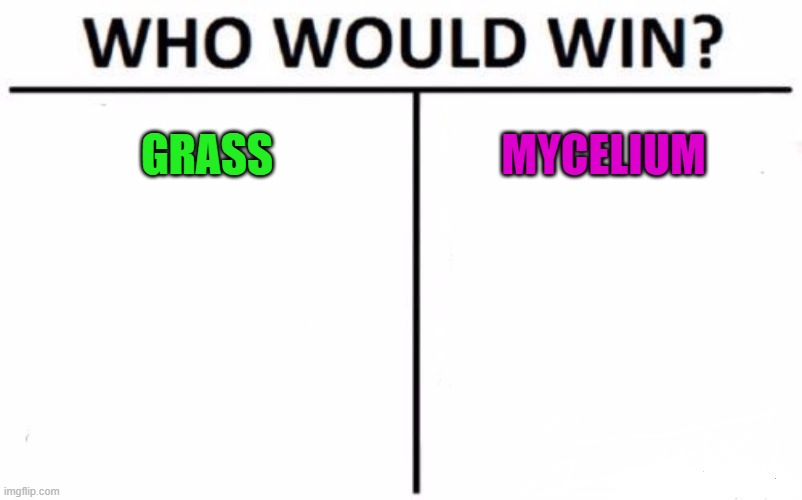 Who Would Win? Meme | GRASS; MYCELIUM | image tagged in memes,who would win | made w/ Imgflip meme maker