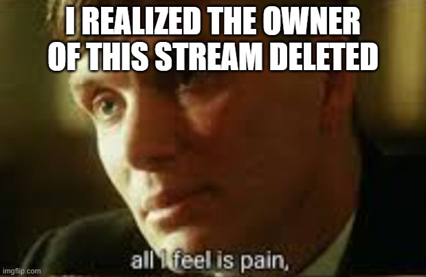 Pain | I REALIZED THE OWNER OF THIS STREAM DELETED | image tagged in pain | made w/ Imgflip meme maker