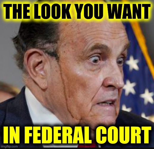 rudy giuliani hair dye | THE LOOK YOU WANT; IN FEDERAL COURT | image tagged in rudy giuliani hair dye,court,trial,guilty,trump lost,election 2020 | made w/ Imgflip meme maker