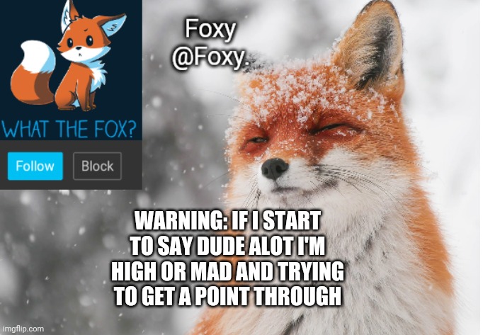 Foxy's announcement template | WARNING: IF I START TO SAY DUDE ALOT I'M HIGH OR MAD AND TRYING TO GET A POINT THROUGH | image tagged in foxy's announcement template | made w/ Imgflip meme maker