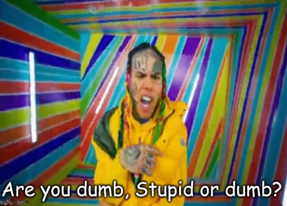 Are you dumb stupid or dumb? | image tagged in are you dumb stupid or dumb | made w/ Imgflip meme maker