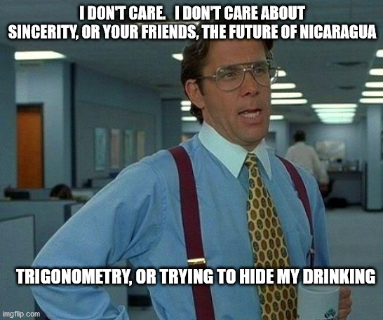That Would Be Great | I DON'T CARE.   I DON'T CARE ABOUT SINCERITY, OR YOUR FRIENDS, THE FUTURE OF NICARAGUA; TRIGONOMETRY, OR TRYING TO HIDE MY DRINKING | image tagged in memes,that would be great | made w/ Imgflip meme maker