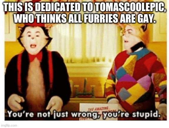 seriously what the hell | THIS IS DEDICATED TO TOMASCOOLEPIC, WHO THINKS ALL FURRIES ARE GAY. | image tagged in you're not just wrong your stupid | made w/ Imgflip meme maker