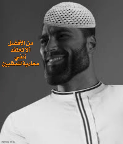 من الأفضل ألا تعتقد أنني معادية للمثليين | made w/ Imgflip meme maker