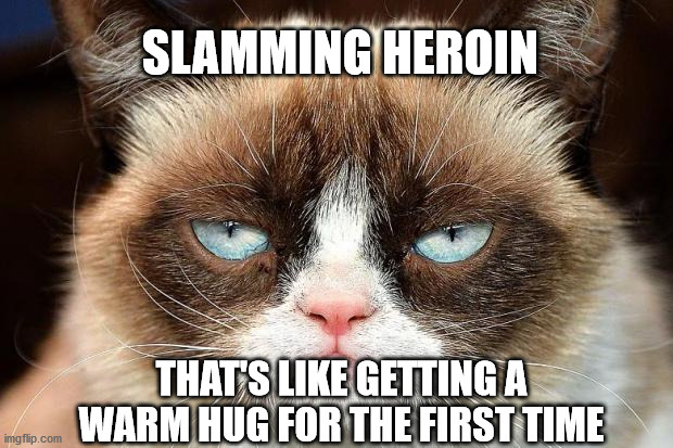 Grumpy Cat Not Amused | SLAMMING HEROIN; THAT'S LIKE GETTING A WARM HUG FOR THE FIRST TIME | image tagged in memes,grumpy cat not amused,grumpy cat | made w/ Imgflip meme maker