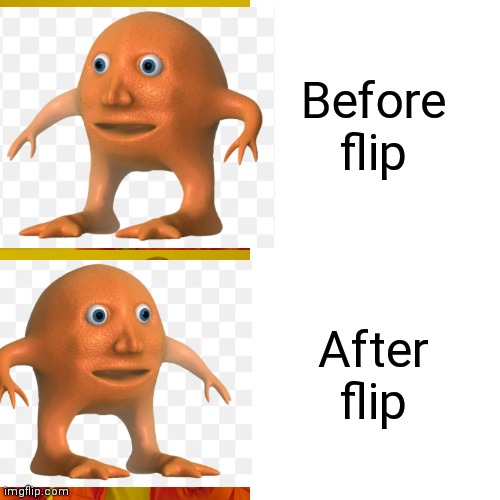 Drake Hotline Bling Meme | Before flip After flip | image tagged in memes,drake hotline bling | made w/ Imgflip meme maker