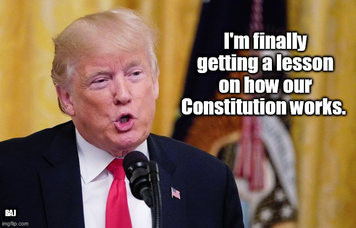 deposed president | BAJ | image tagged in donald trump,constitution | made w/ Imgflip meme maker