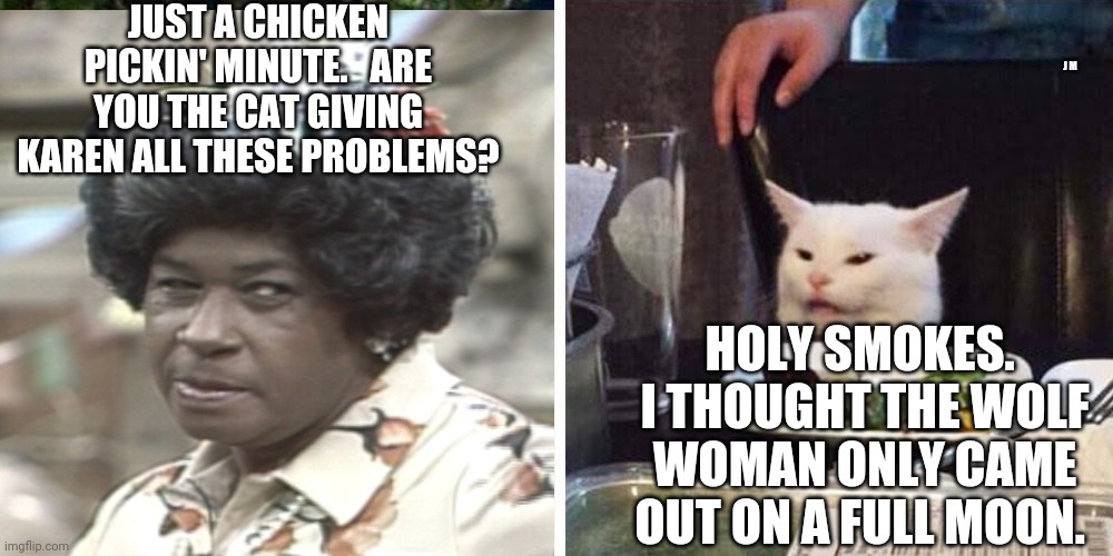 Smudge the cat | JUST A CHICKEN PICKIN' MINUTE.   ARE YOU THE CAT GIVING KAREN ALL THESE PROBLEMS? J M; HOLY SMOKES.  I THOUGHT THE WOLF WOMAN ONLY CAME OUT ON A FULL MOON. | image tagged in smudge the cat | made w/ Imgflip meme maker