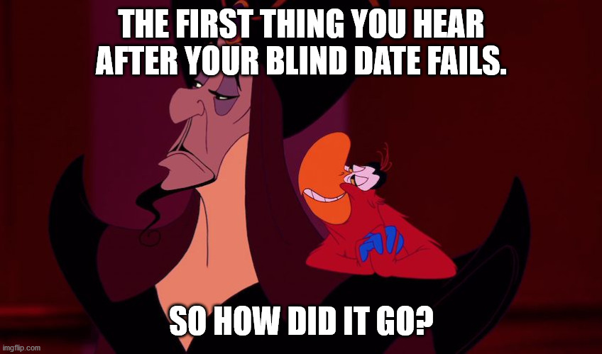 Iago Aladdin so how did it go | THE FIRST THING YOU HEAR AFTER YOUR BLIND DATE FAILS. SO HOW DID IT GO? | image tagged in iago aladdin so how did it go | made w/ Imgflip meme maker