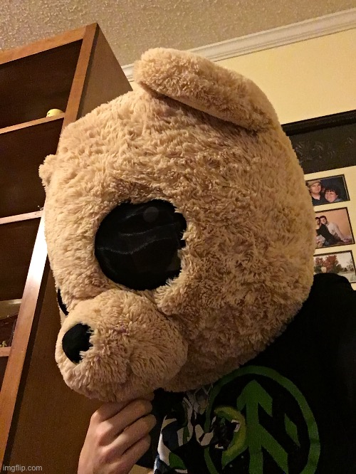 I kinda lied about the no fursuit thing OwO’ anyway. This is Lex, a corrupt bear q&a is ok with me | image tagged in furry,selfie,corruption,owo | made w/ Imgflip meme maker