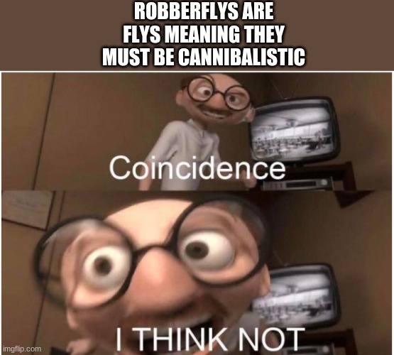 Coincidence, I THINK NOT | ROBBERFLYS ARE FLYS MEANING THEY MUST BE CANNIBALISTIC | image tagged in coincidence i think not | made w/ Imgflip meme maker