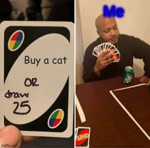 UNO Draw 25 Cards Meme | Me; Buy a cat | image tagged in memes,uno draw 25 cards,cats | made w/ Imgflip meme maker