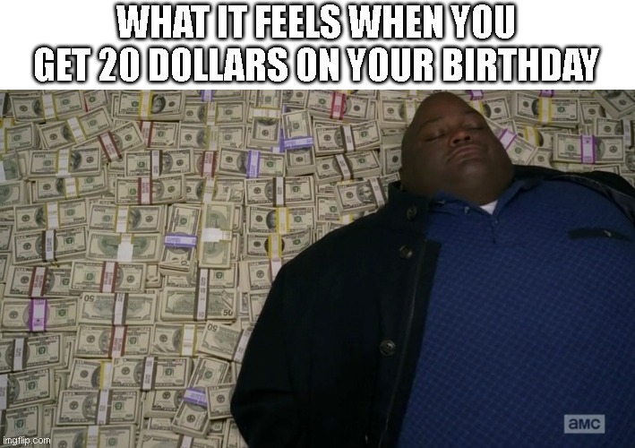 guy sleeping on pile of money | WHAT IT FEELS WHEN YOU GET 20 DOLLARS ON YOUR BIRTHDAY | image tagged in guy sleeping on pile of money | made w/ Imgflip meme maker