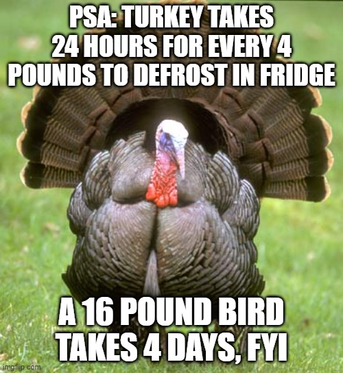 Turkey Meme | PSA: TURKEY TAKES 24 HOURS FOR EVERY 4 POUNDS TO DEFROST IN FRIDGE; A 16 POUND BIRD TAKES 4 DAYS, FYI | image tagged in memes,turkey | made w/ Imgflip meme maker