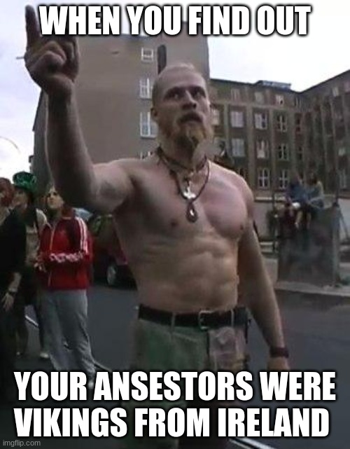 Techno Viking | WHEN YOU FIND OUT; YOUR ANCESTORS WERE VIKINGS FROM IRELAND | image tagged in techno viking | made w/ Imgflip meme maker