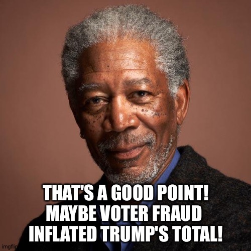 Morgan Freeman | THAT'S A GOOD POINT!
MAYBE VOTER FRAUD 
INFLATED TRUMP'S TOTAL! | image tagged in morgan freeman | made w/ Imgflip meme maker