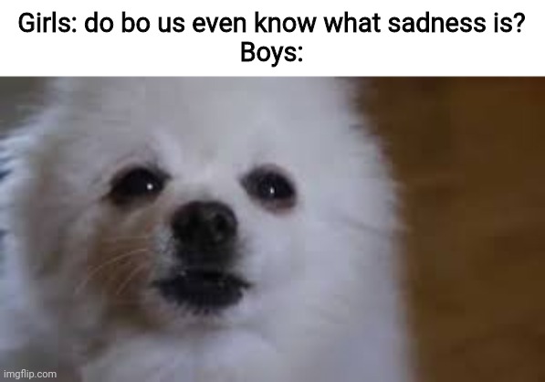 Gabe the dog | Girls: do bo us even know what sadness is?
Boys: | image tagged in gabe the dog | made w/ Imgflip meme maker